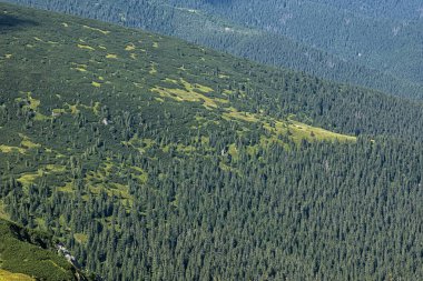 Alçak Tatras Dağı, Slovakya Cumhuriyeti. Yürüyüş teması. Mevsimsel doğal sahne.