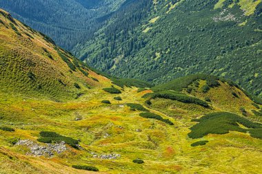 Alçak Tatras Dağı, Slovakya Cumhuriyeti. Yürüyüş teması. Mevsimsel doğal sahne.