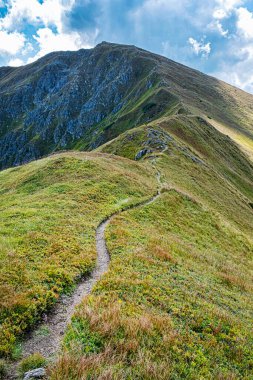 Skalka tepesi, Low Tatras dağ manzarası, Slovak cumhuriyeti. Yürüyüş teması. Mevsimsel doğal sahne.