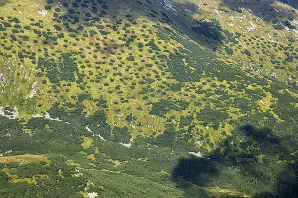 低タトラ山脈の風景 スロバキア共和国 ハイキングのテーマ 四季折々の自然 — ストック写真