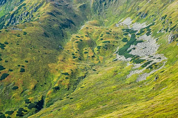 低タトラ山 スロバキア共和国 ハイキングのテーマ 四季折々の自然 — ストック写真