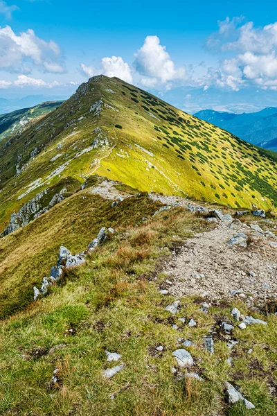 Bor Hill Nízké Tatry Slovenská Republika Turistický Motiv Sezónní Přírodní — Stock fotografie