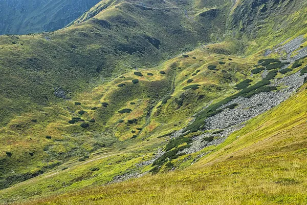 Χαμηλά Βουνά Τάτρα Σλοβακία Θέμα Πεζοπορίας Εποχιακή Φυσική Σκηνή — Φωτογραφία Αρχείου