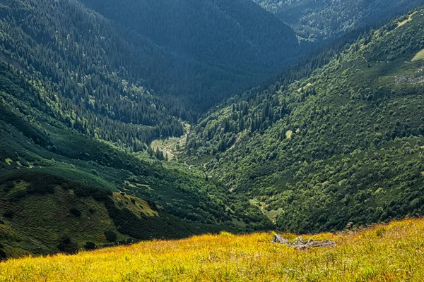 Χαμηλό Ορεινό Τοπίο Tatras Σλοβακία Θέμα Πεζοπορίας Εποχιακή Φυσική Σκηνή — Φωτογραφία Αρχείου