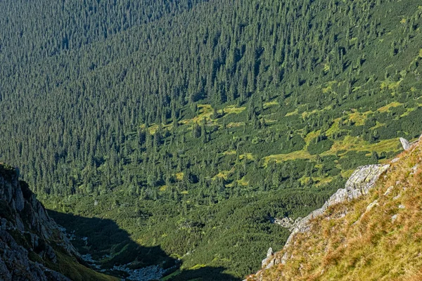 Baja Montaña Tatras República Eslovaca Tema Senderismo Escena Natural Estacional — Foto de Stock