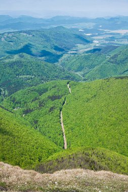 Klak Hill, Slovak Cumhuriyeti 'nden yaprak döken ormanlı tepeler. Peyzaj sahnesi.
