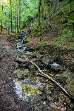 Janosik Holes, Küçük Fatra, Slovakya Cumhuriyeti. Yürüyüş teması. Mevsimsel doğal sahne.