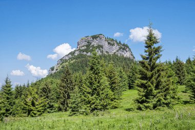 Küçük Rozsutec Tepesi, Küçük Fatra, Slovak Cumhuriyeti. Yürüyüş teması. Mevsimsel doğal sahne.