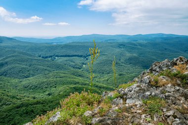 Vapenna 'dan görüntü - Rostun Tepesi, Küçük Karpatlar, Slovakya Cumhuriyeti. Mevsimsel doğal sahne.