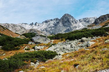 Mengusovska vadisinde sonbahar sahnesi, Yüksek Tatras dağları, Slovak cumhuriyeti. Yürüyüş teması.