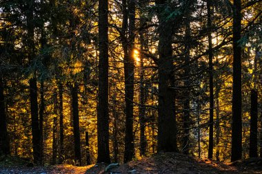 Mengusovska Vadisi, Yüksek Tatras Dağları, Slovakya Cumhuriyeti 'nde gündoğumu sahnesi. Yürüyüş teması.