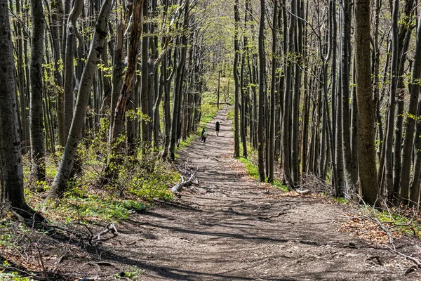 Tourist People Walking Klak Hill Slovak Republic Seasonal Natural Scene — Stok fotoğraf