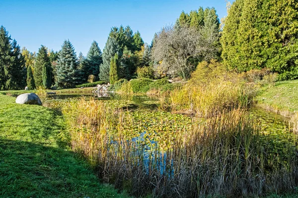 Paisaje Otoñal Arboreto Tesarske Mlynany República Eslovaca Destino Turístico — Foto de Stock