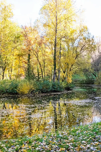 Arbortumでの秋の景色スロバキア共和国のテサースケ ムリニー 目的地 — ストック写真