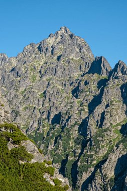 Prostredny hrot zirvesi Slavkovsky zirvesinden, Slovak cumhuriyetinden. Yürüyüş teması. Mevsimsel doğal sahne.