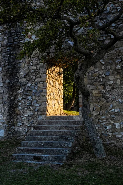 Slottsruiner Hainburg Der Donau Österrike Resmål Arkitekturtema — Stockfoto