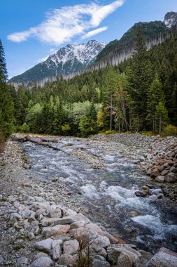 Dill Vadisi 'ndeki dere manzarası, High Tatras Dağı, Slovak Cumhuriyeti. Yürüyüş teması. Mevsimsel doğal sahne.