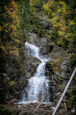 Kmet Şelalesi, Dill Vadisi, Yüksek Tatras Dağı, Slovakya Cumhuriyeti. Yürüyüş teması. Mevsimsel doğal sahne.