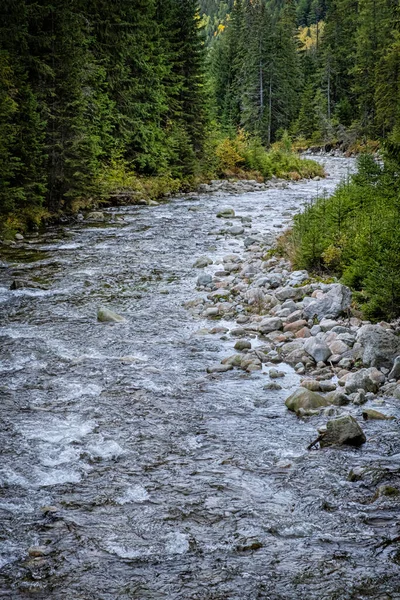 Paysage Ruisseau Dans Vallée Dill Haute Montagne Tatras République Slovaque — Photo