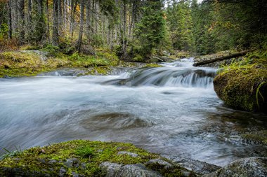 Dill Vadisi 'ndeki dere manzarası, High Tatras Dağı, Slovak Cumhuriyeti. Yürüyüş teması. Mevsimsel doğal sahne.