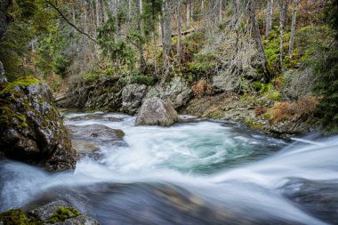 Dill Vadisi 'ndeki dere manzarası, High Tatras Dağı, Slovak Cumhuriyeti. Yürüyüş teması. Mevsimsel doğal sahne.