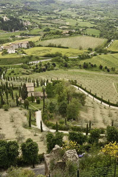 Weg met cipress bomen en heuvels in Toscane — Stockfoto