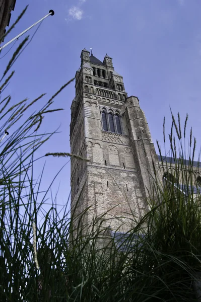 Turm der Kathedrale von Sint-Salvator — Stockfoto