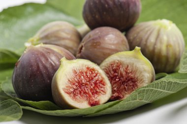 figs clipart