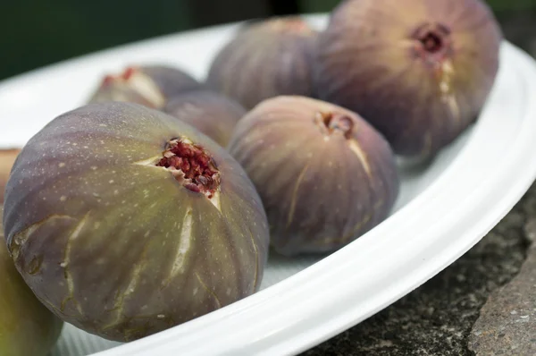 Figs — Stock Photo, Image