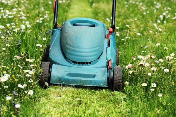 Lawn mowers — Stock Photo, Image