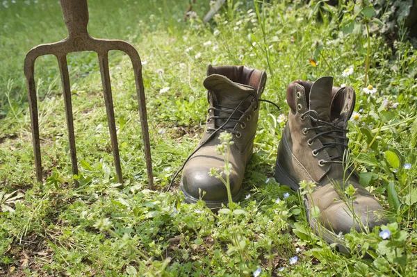 Gardening — Stock Photo, Image