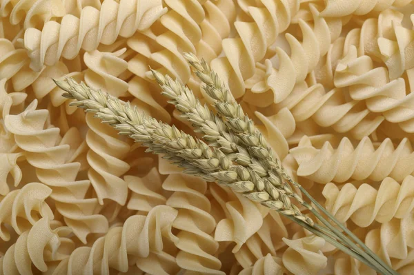 Ears of wheat — Stock Photo, Image