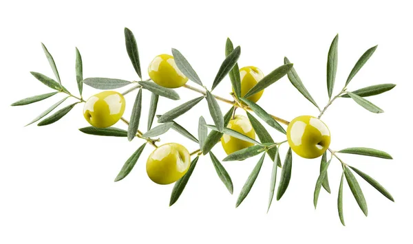 Olives Vertes Avec Brindilles Feuilles Isolées Sur Fond Blanc — Photo