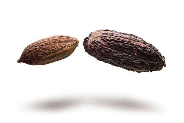 Vainas Cacao Saltando Sobre Fondo Blanco —  Fotos de Stock