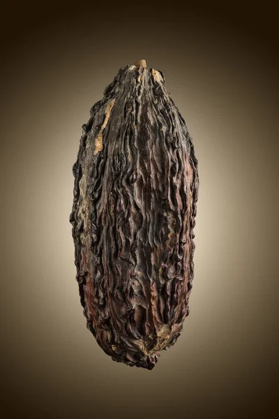 Cacaopod Close Bruine Ondergrond — Stockfoto