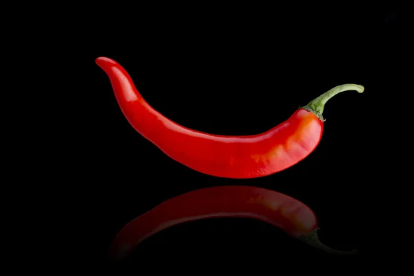 Single Red Chilli — Stock Photo, Image