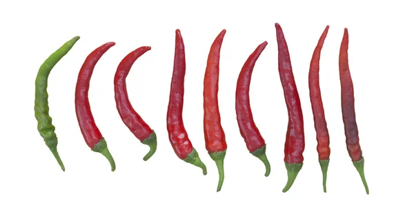 Red Chili — Stock Photo, Image