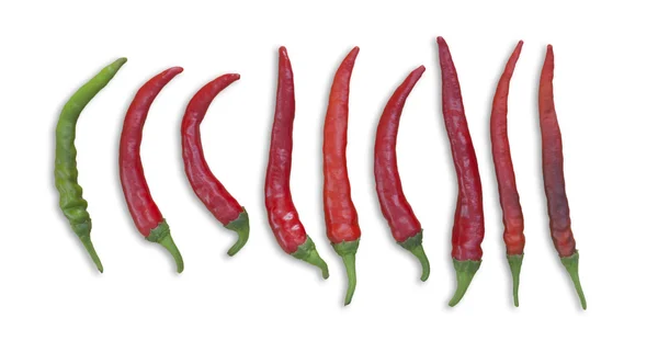 Red Chili — Stock Photo, Image