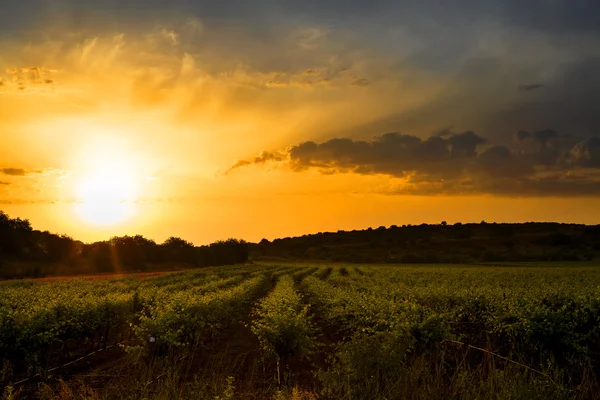 Lever de soleil — Photo