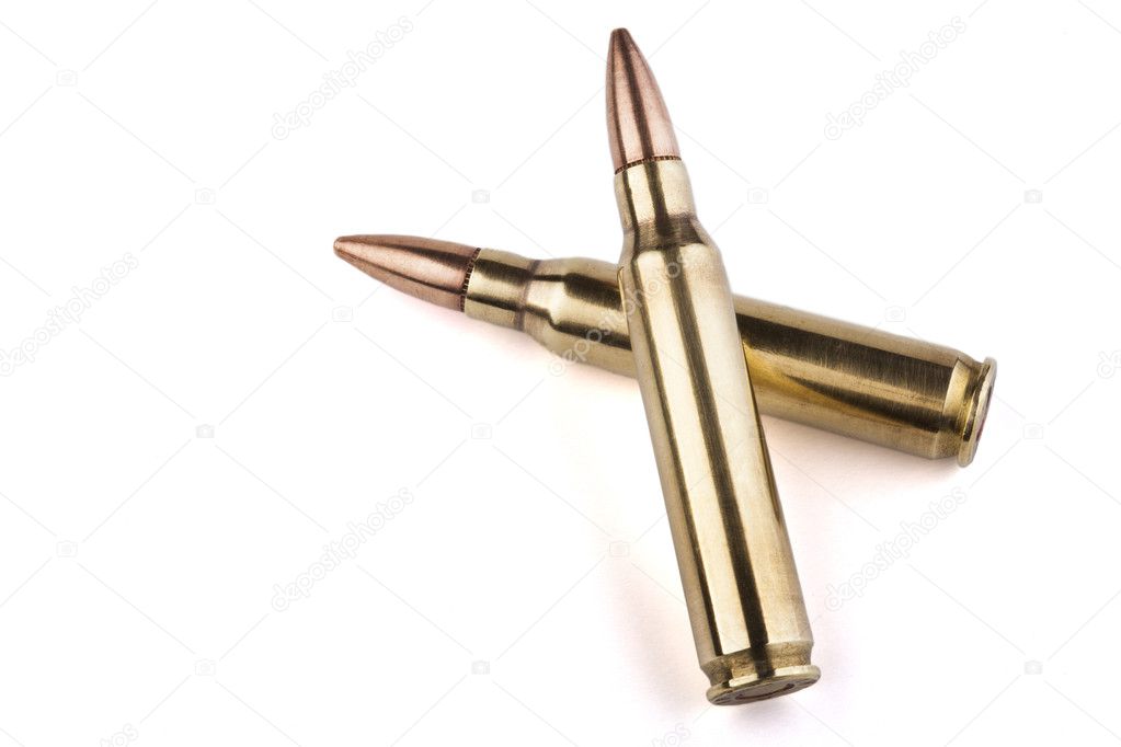 Two Rifle Bullets