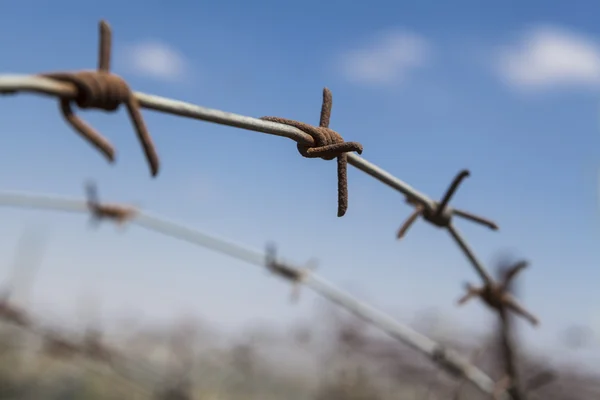 Rostiger Stacheldraht — Stockfoto