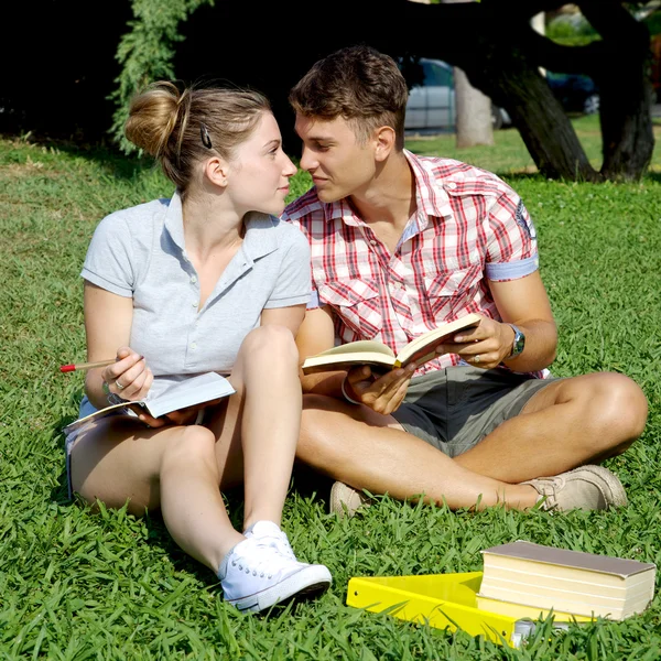 公園で恋に師事し、幸せなカップルの書籍します。 — ストック写真