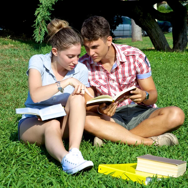 Pareja feliz estudiando en el parque — Foto de Stock