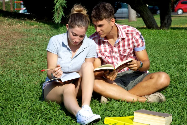 Studenti felici con libri in parco — Foto Stock