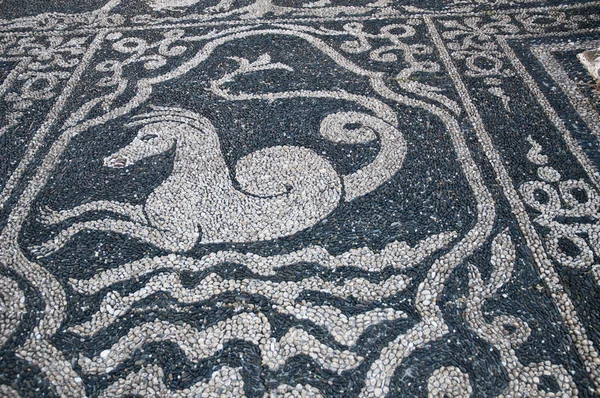 Jardín del Palazzo Reale Mosaico de tierra en Génova ciudad italia — Foto de Stock