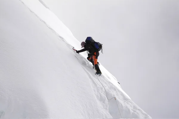 Zirve Island Peak, nepal. — Stok fotoğraf