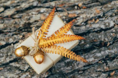 El işi kağıdına sarılmış, kurutulmuş eğrelti otu yaprakları ve cam meşe palamudu ile süslenmiş bir hediye..