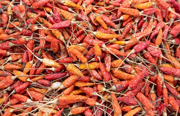 Detailní Záběr Hromadu Sušených Červených Chilli — Stock fotografie