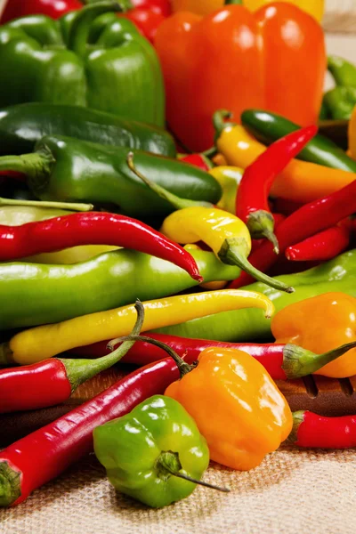 Chilli pepper still life — Stock Photo, Image