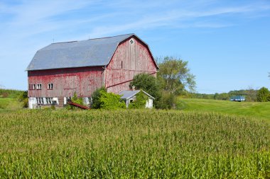 Barn house